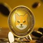 Shiba Inu Price Prediction: Is the Coin Ready for a Breakout?