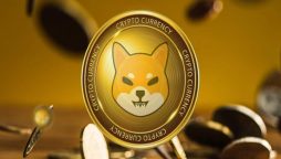 SHIB Price Drops 40% in Past Week: Will Bulls Take Over This Week?