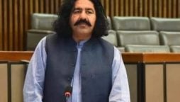 Ali Wazir Judicial Remand