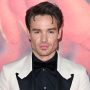 Liam Payne Faces Speeding Charges In London:  Details Unveiled