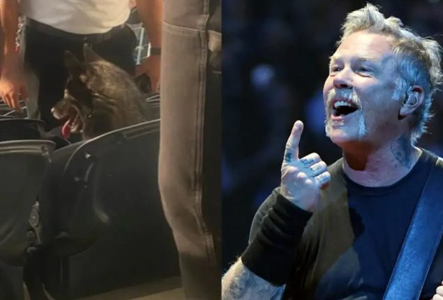 Dog rocks out to Metallica at sold-out California concert