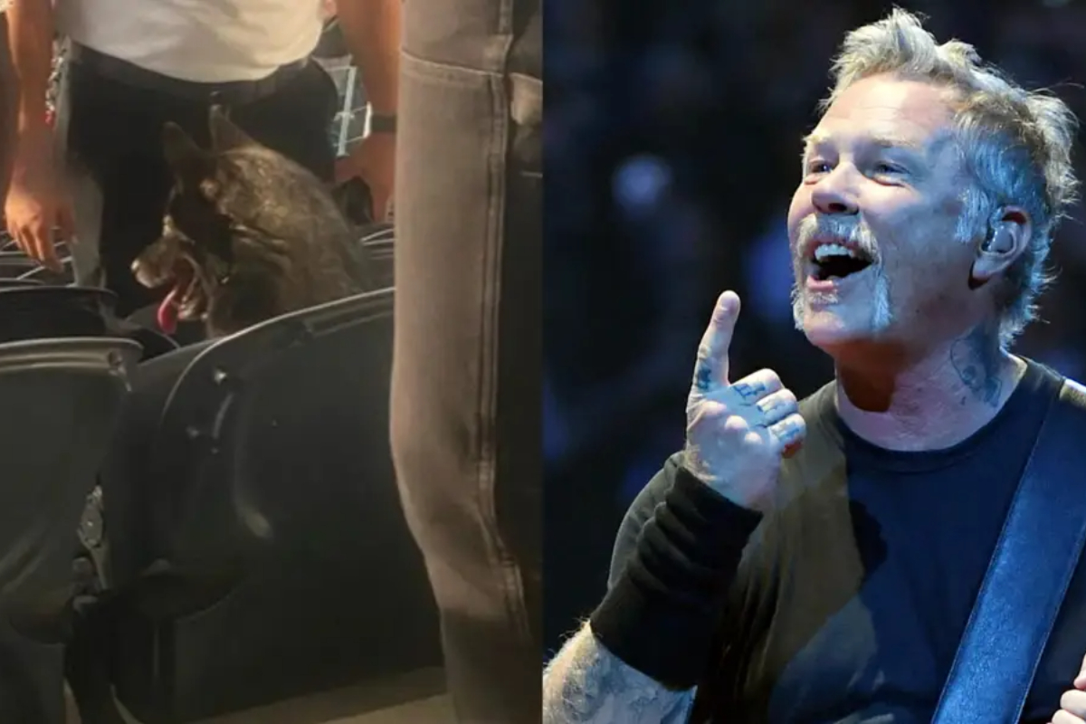 Dog rocks out to Metallica at sold-out California concert