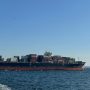 Cargo ships reach Ukrainian port to load wheat, despite Russian threats