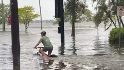 Florida Man Cycles Through Flooded Street in Viral Video