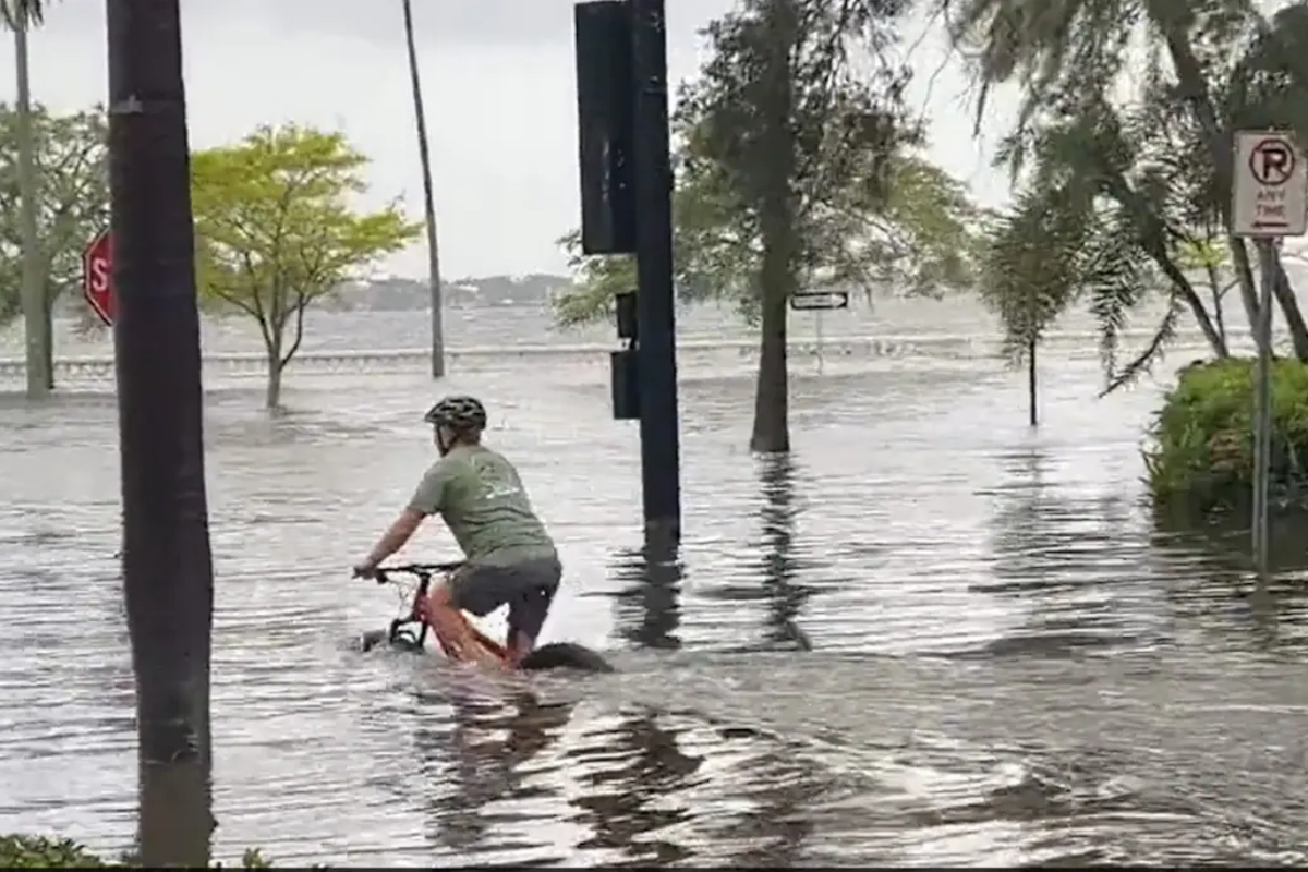 Florida Man Cycles Through Flooded Street in Viral Video