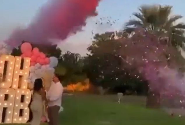 Plane Crashes at Gender Reveal Party, Pilot Killed