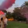 Plane Crashes at Gender Reveal Party, Pilot Killed