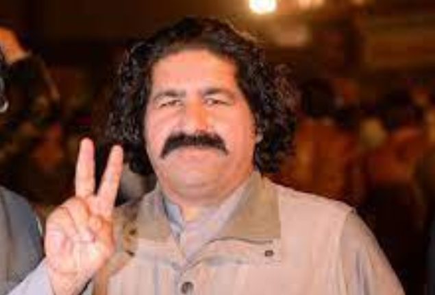 ATC approves Ali Wazir’s bail, orders release in fraud case