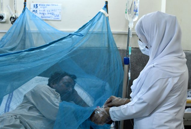 Lahore: Poor surveillance behind rising dengue cases
