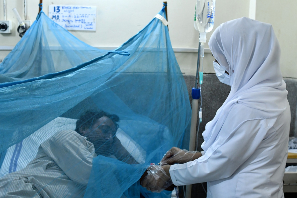 Lahore dengue