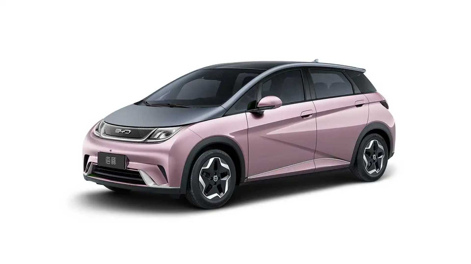 Dolphin EV