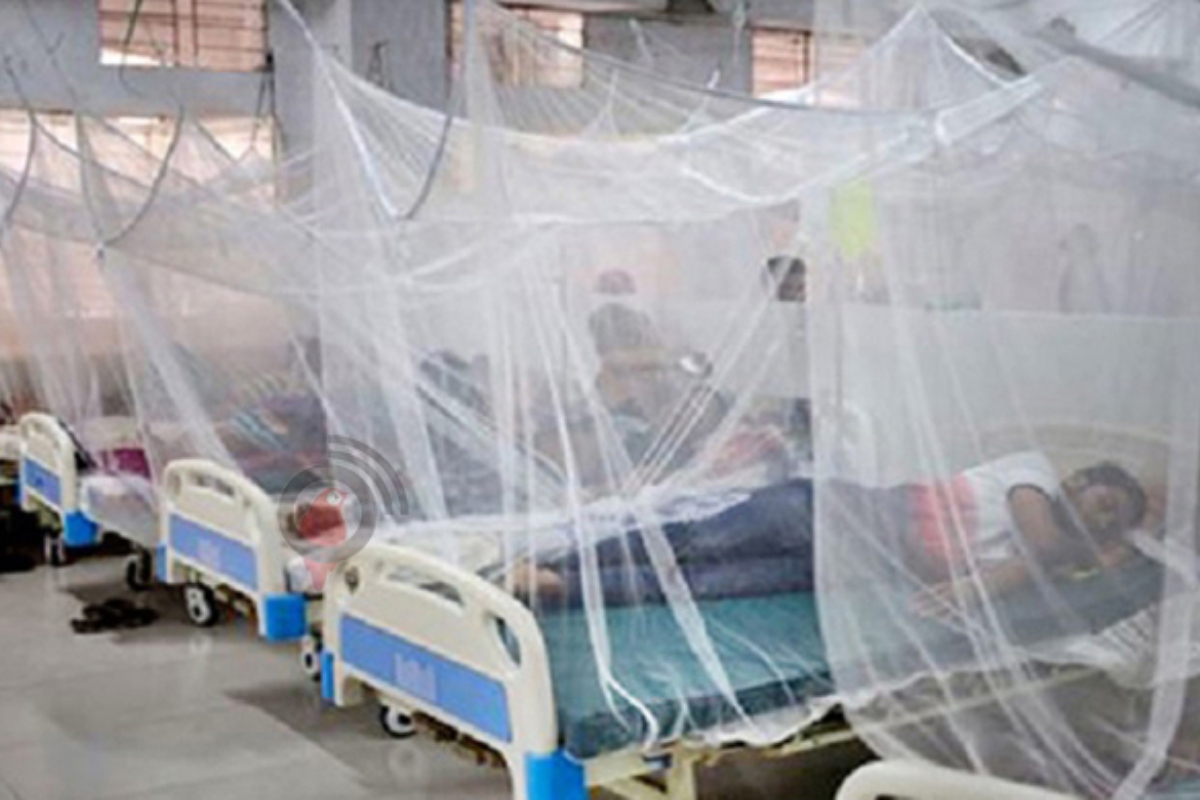 Dengue Lahore