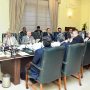 PM Kakar orders for passing benefits of cut in petroleum prices to masses