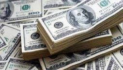 USD to PKR rate in Pakistan down by Re. 96 to Rs 277.62 on Oct 13