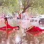 Rajkot Woman’s Roadside Yoga Video Shared by Police