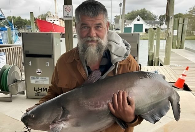 Delaware Man Catches 53-Pound Blue Catfish