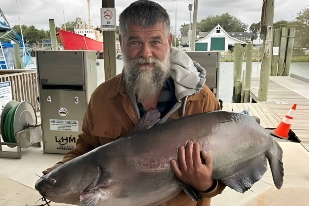 Catfish