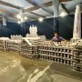 Teenager Breaks World Record with Playing Card Structure