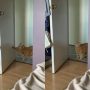 Polite Cat Knocks on Door Before Entering Owner’s Room