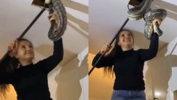 Australian Woman Finds Giant Snakes in Ceiling