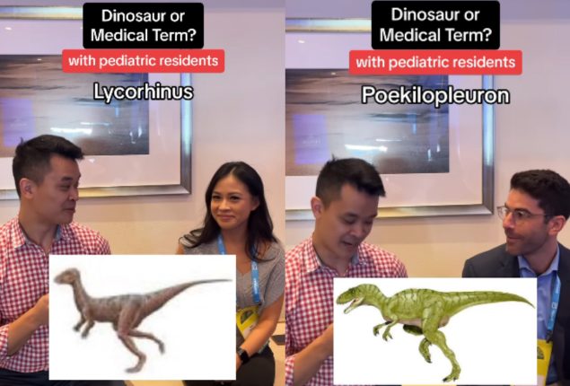 Dinosaur quiz
