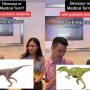 Hilarious Quiz Session: Dinosaur or Medical Term with Doctors