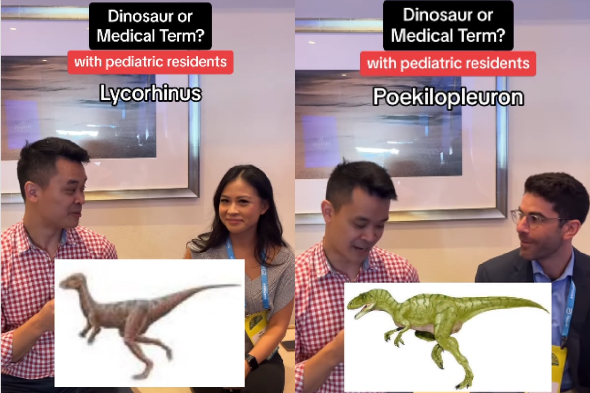 Dinosaur quiz
