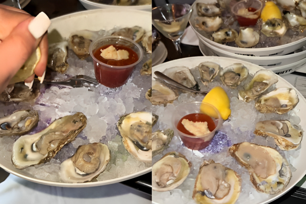 Oysters