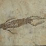 Smuggled historical artefacts returned to China by Australia