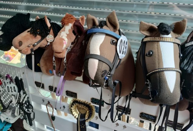 Hobby horse competition