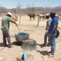 El Chapo’s sons banned fentanyl production in Sinaloa