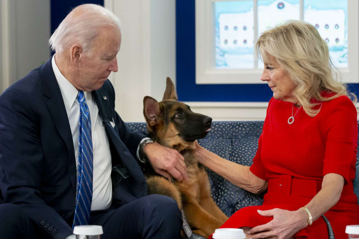 Biden's dog Commander ousted from White House for biting