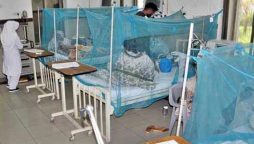 malaria cases in Sindh