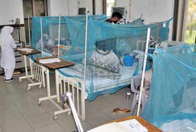 Sindh reports more malaria cases