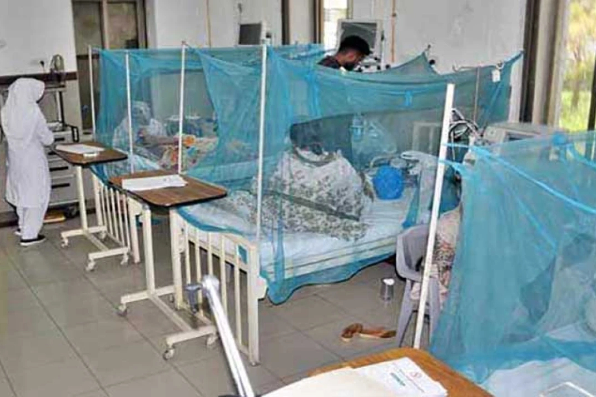 malaria cases in Sindh