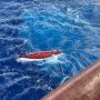 Aussie rower rescued after capsizing in Pacific Ocean