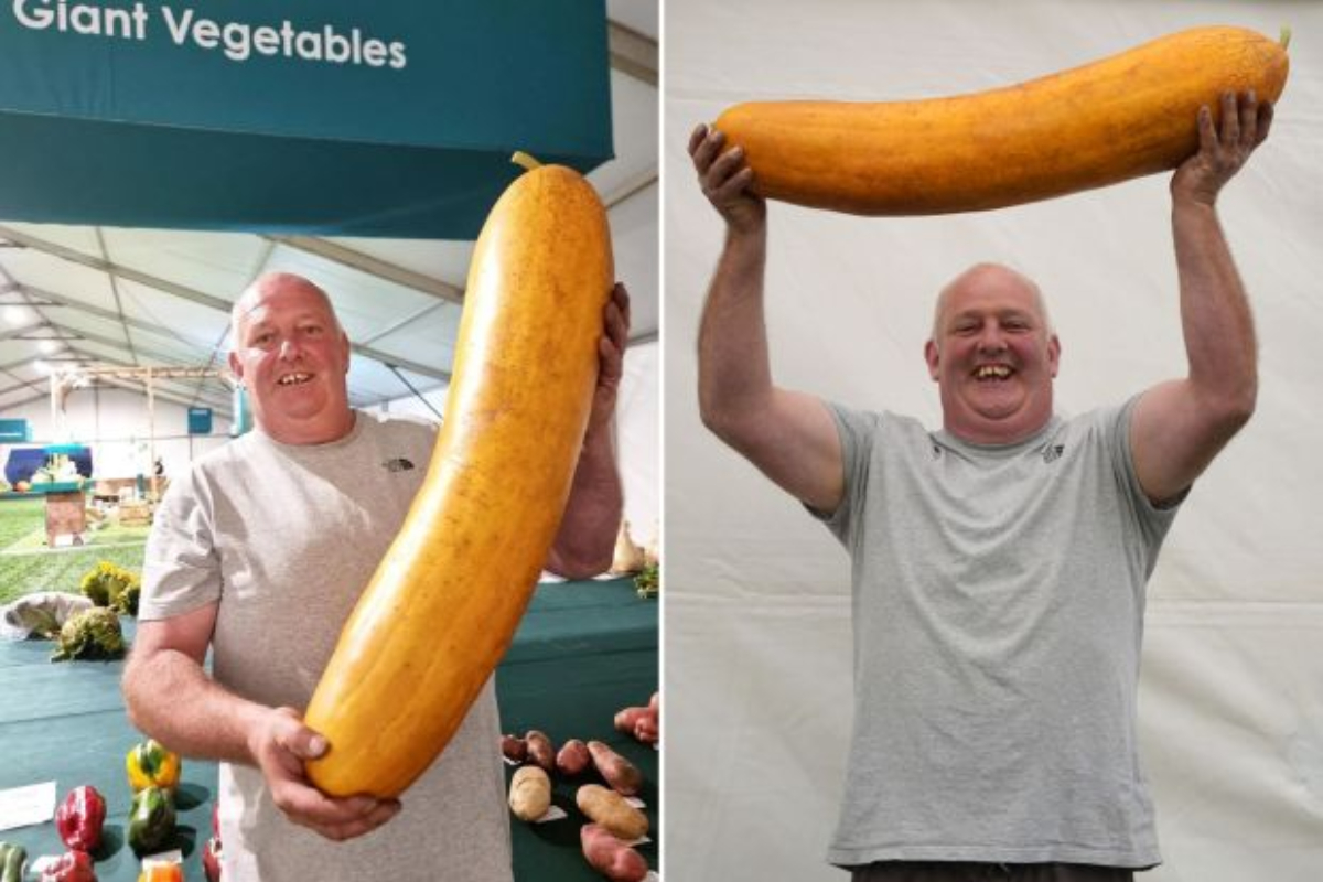 Giant cucumber grown in Barry smashes world record