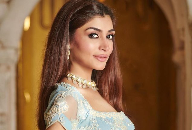 Zoya Nasir stunning look in a blue embroidery dress