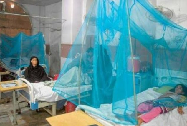 Malaria, Dengue cases increase across Sindh