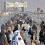 Repatriation of Afgan diasporas continues at Torkham border