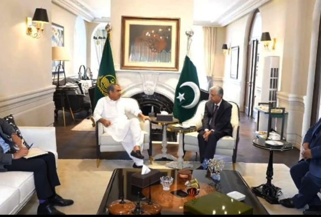 Information Minister Solangi calls on CM Punjab