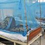 Punjab confirms 120 more dengue cases