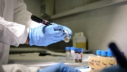 Poliovirus
