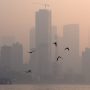 Mumbai’s Air Quality Trumps Delhi’s This Week