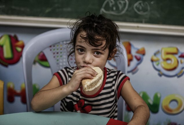 Israel-Hamas War: Gaza Access Crisis, World Food Programme’s Plea