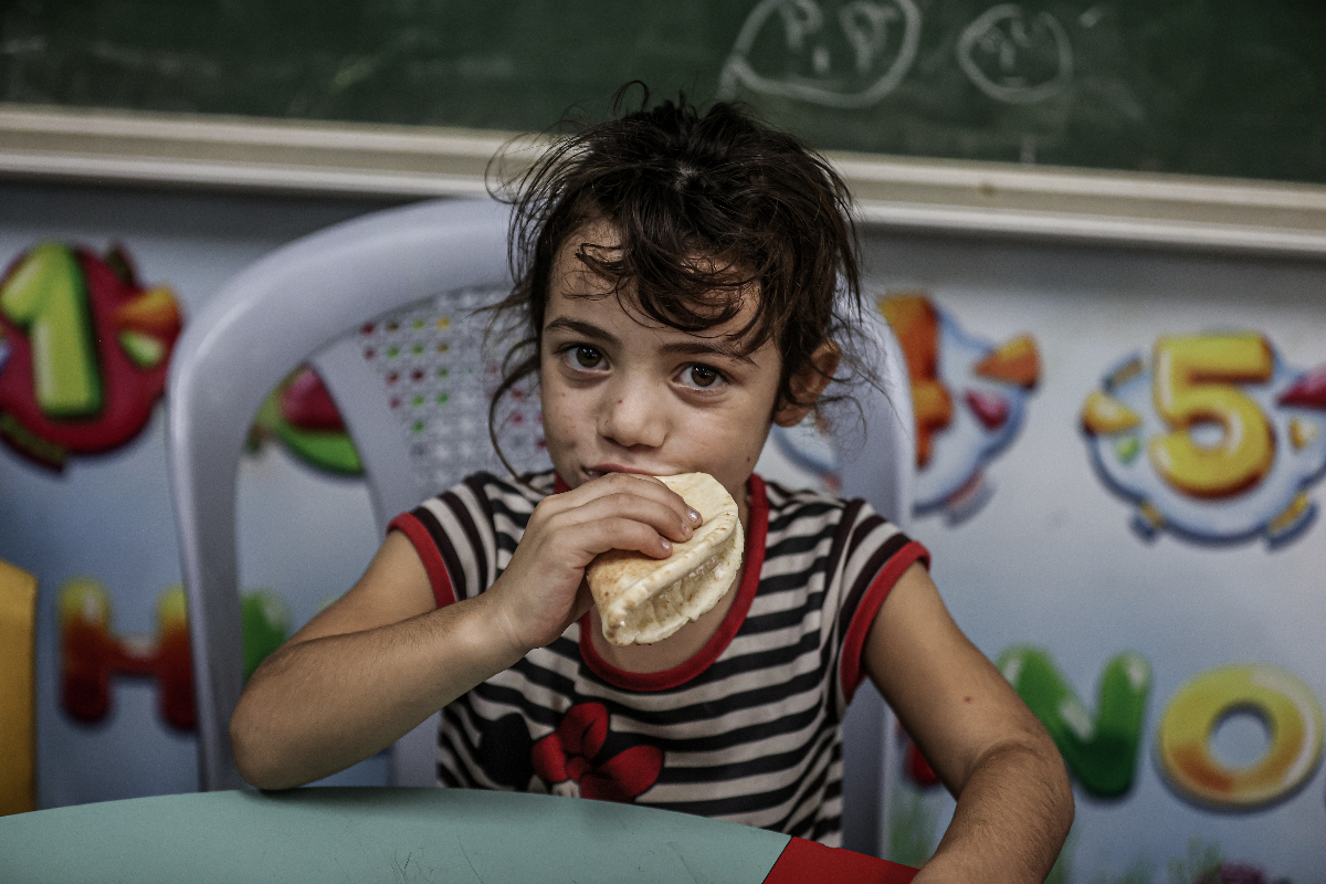 Israel-Hamas War: Gaza Access Crisis, World Food Programme's Plea