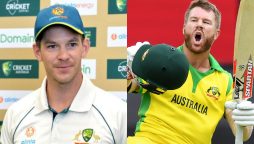Tim Paine says 'Warner is the best white-ball batter Australia's ever had'