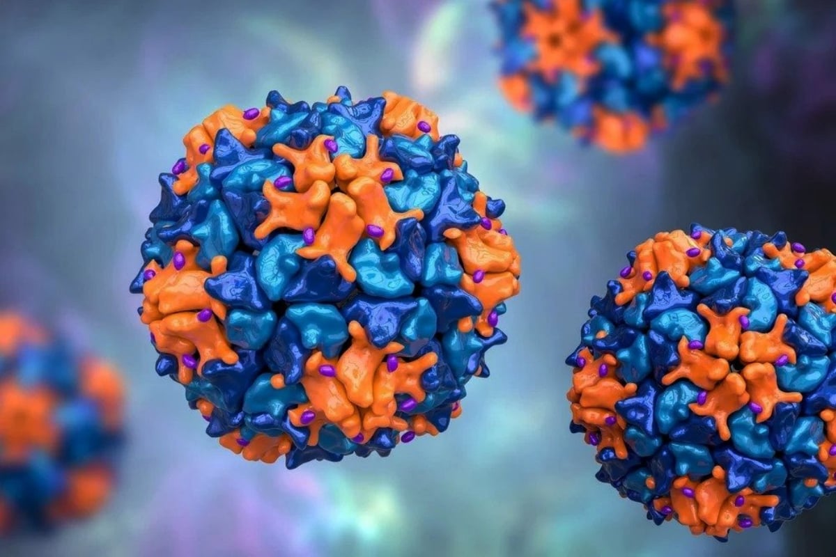 Poliovirus samples detected in 16 European countries