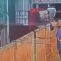 Tsingtao Beer Employee Caught Urinating in Tank