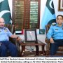 Commander of Air Force & Air Defence UAE calls on Air Chief